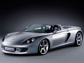 畅行草原，首选信源通 鄂尔多斯专业汽车租赁服务指南