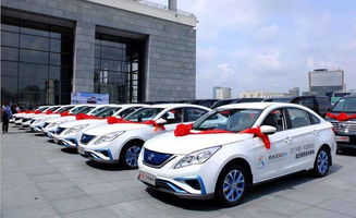 热烈祝贺某汽车租赁公司11月30日盛大开业